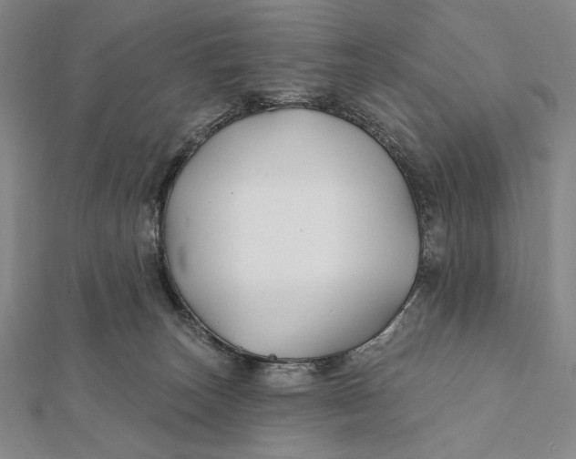 X0000112060179200908251029