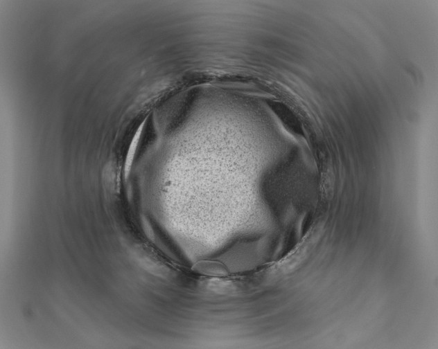 X0000112060180200908251029