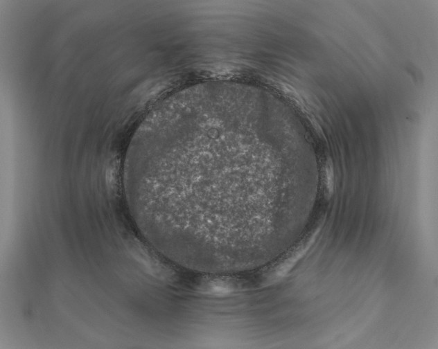 X0000112060181200908251029