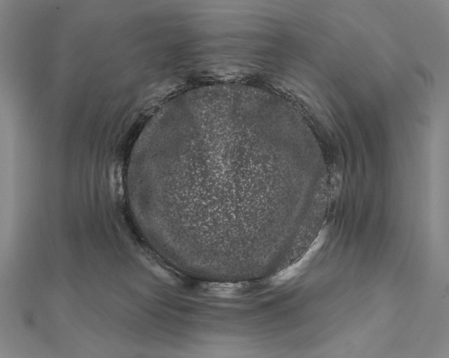 X0000112060182200908251029