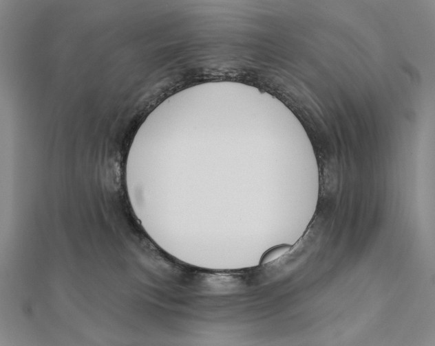 X0000112060183200908251029