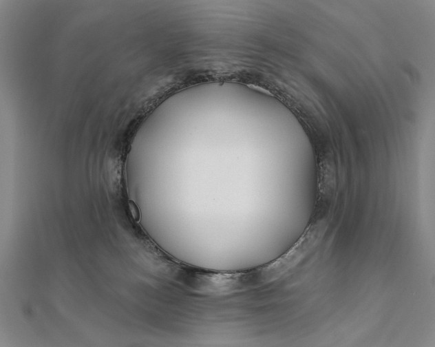 X0000112060184200908251029