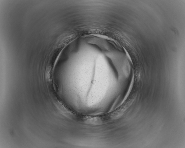 X0000112060185200908251029