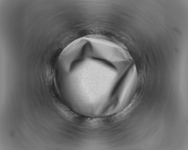 X0000112060186200908251029