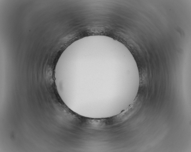 X0000112060187200908251029