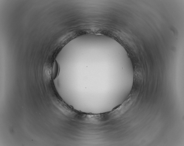 X0000112060188200908251029