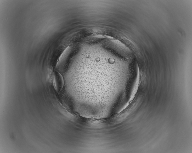 X0000112060189200908251029