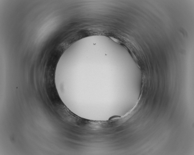 X0000112060190200908251029