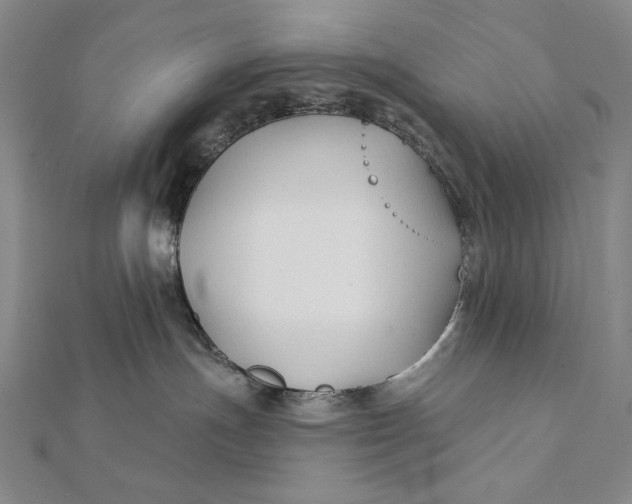 X0000112060191200908251029