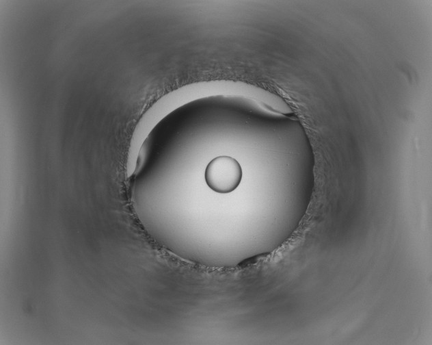 X0000112060192200908251029