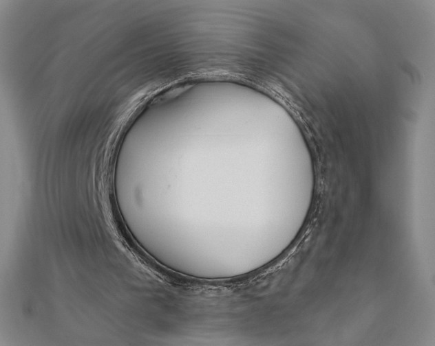 X0000112060193200908251028