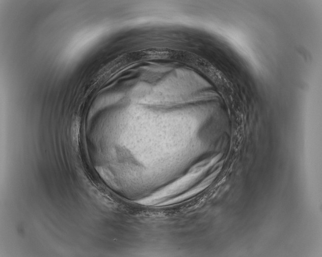 X0000112060194200908251028