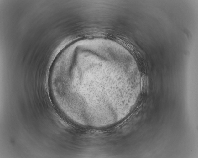 X0000112060195200908251028