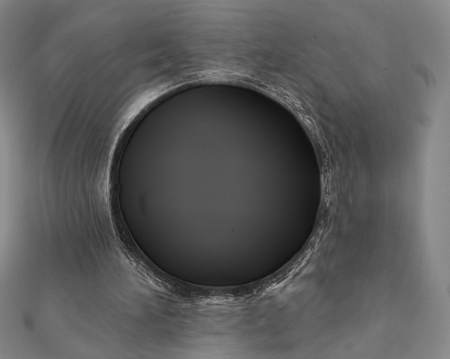 X0000112060196200908251028