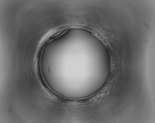 X0000112060197200908251028