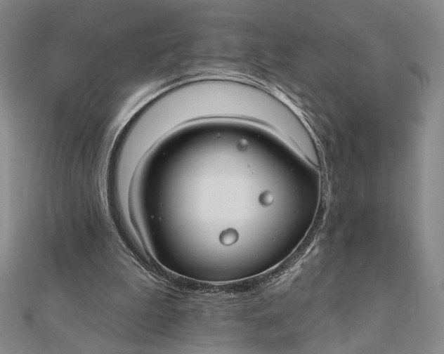 X0000112060199200908251028