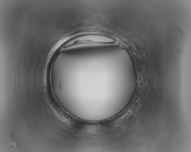 X0000112060200200908251028