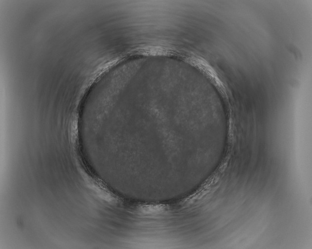 X0000112060202200908251028