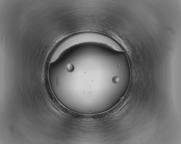 X0000112060203200908251028