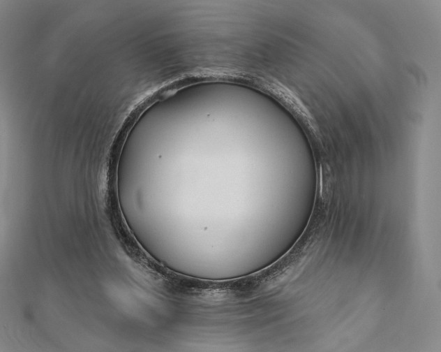 X0000112060204200908251028