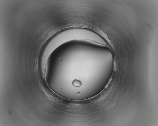 X0000112060205200908251028