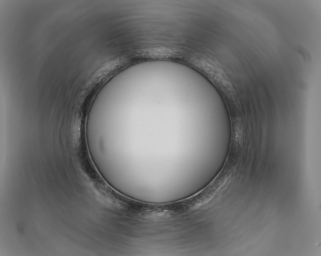 X0000112060206200908251028