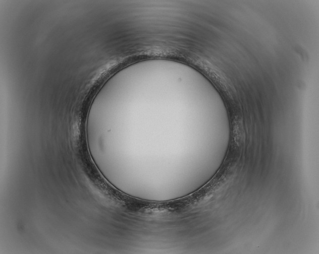 X0000112060208200908251028