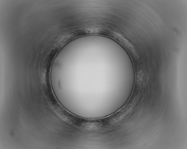 X0000112060209200908251028