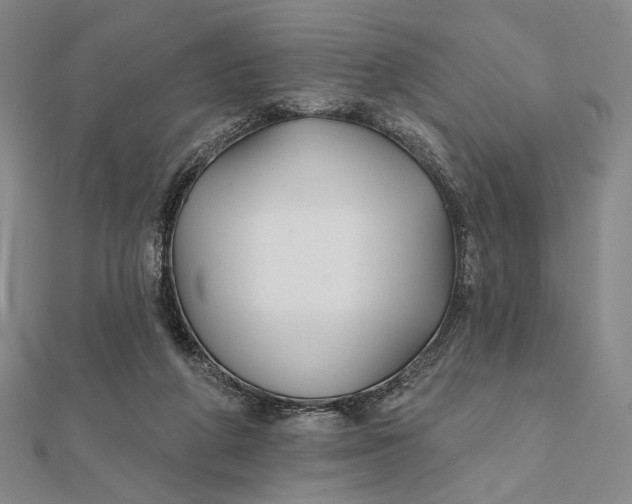 X0000112060210200908251028