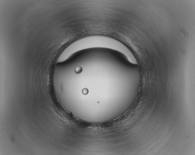 X0000112060211200908251028