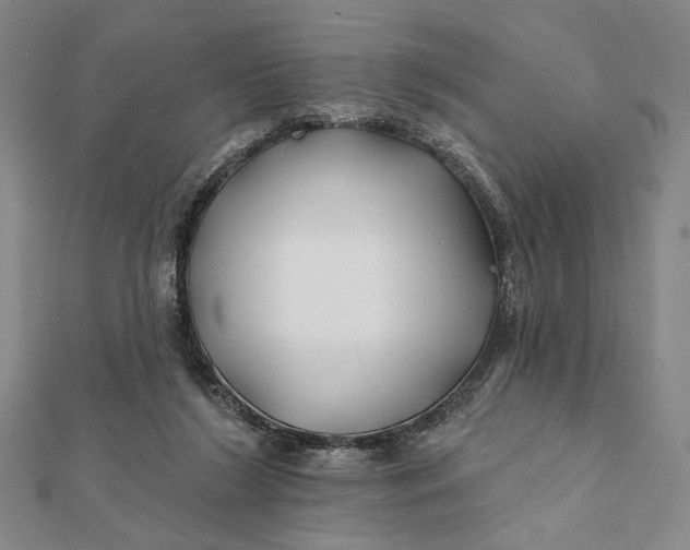 X0000112060212200908251028