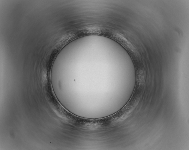 X0000112060213200908251028