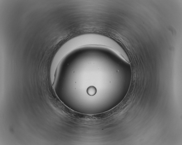 X0000112060215200908251028