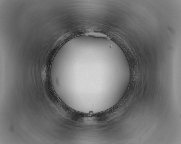 X0000112060216200908251028