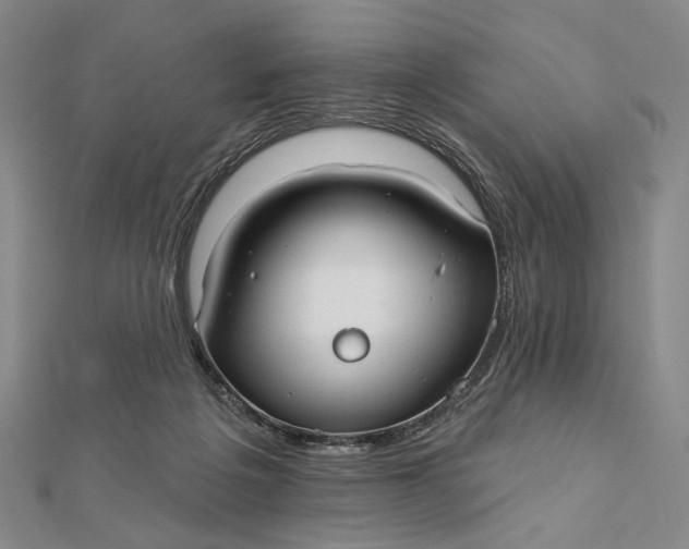 X0000112060217200908251028