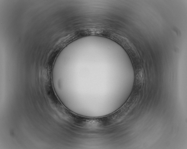 X0000112060218200908251028