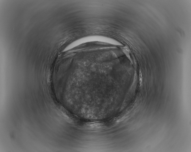 X0000112060219200908251028