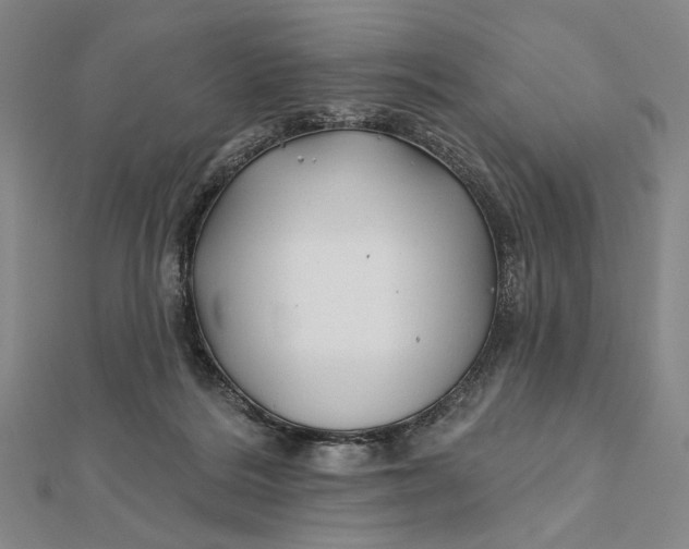 X0000112060220200908251028