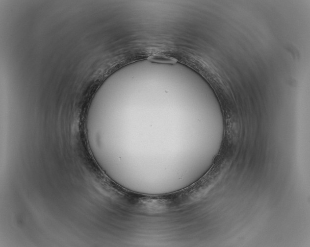 X0000112060221200908251028