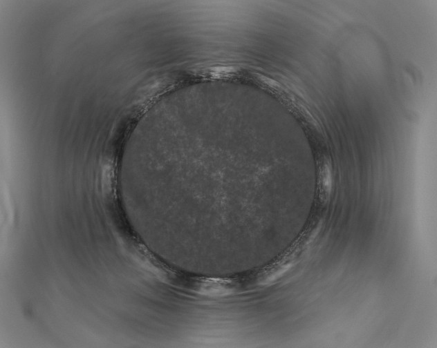 X0000112060222200908251028