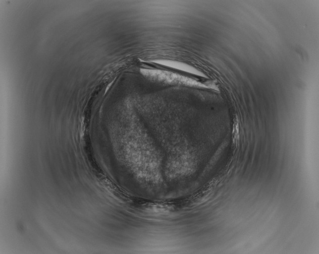 X0000112060223200908251028