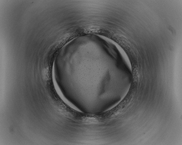 X0000112060224200908251028