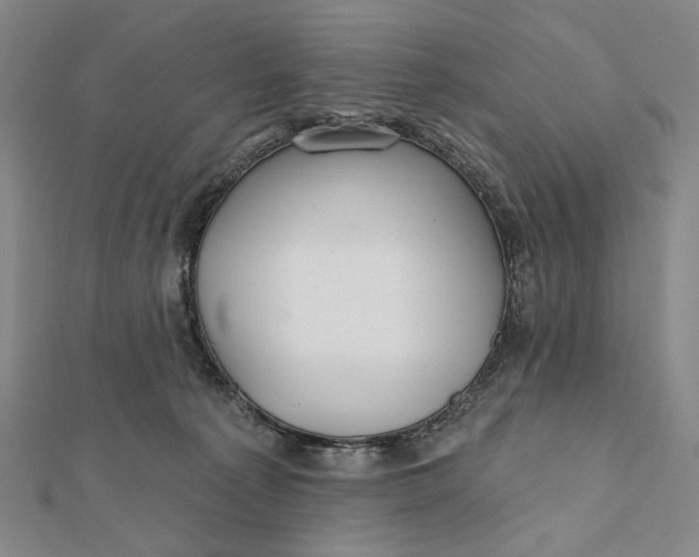 X0000112060225200908251028