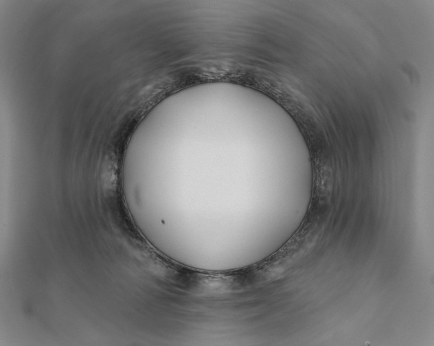 X0000112060226200908251028