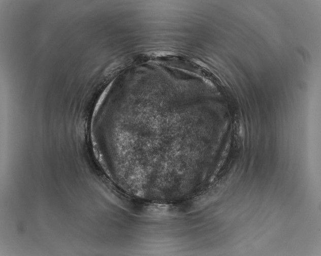 X0000112060227200908251028