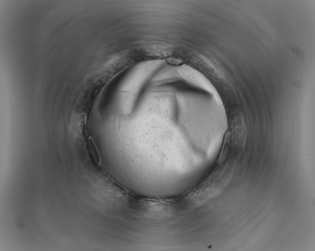 X0000112060229200908251028