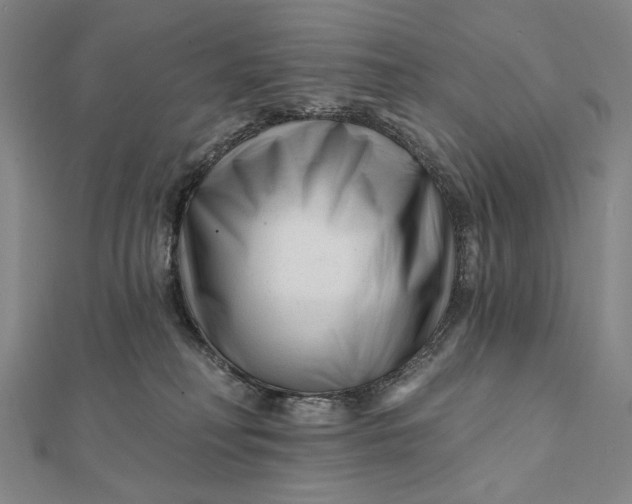 X0000112060230200908251028