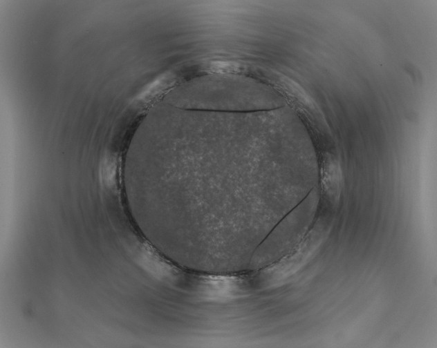 X0000112060233200908251028