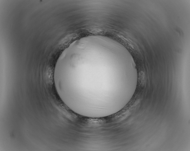 X0000112060234200908251028