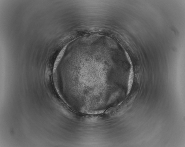 X0000112060235200908251028